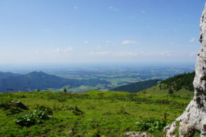DSC04594.JPG